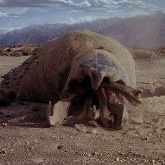 Graboid