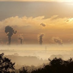 Смог которым дышит матершиники