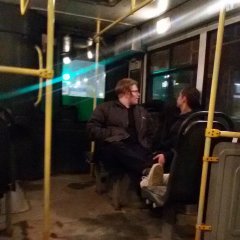 Свиньи отсталые
