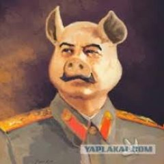 Типичный жид