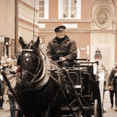 Возница в Германии