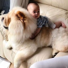 Best For Kids