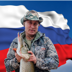 Щука путина