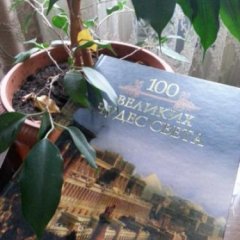 Фикус читает книгу