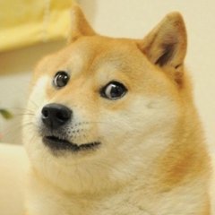 Ganz