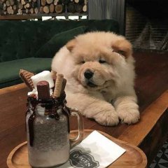 Help You Eat A Big Dessert