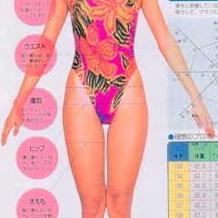 Japan model