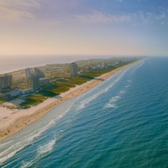Типичные субтропики Техаса - Padre Island