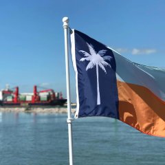 Типичные субтропики Техаса - Port-Aransas Flag