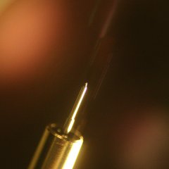 Укол в сливовые ягодицы