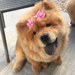 You Can Do Hairstyles