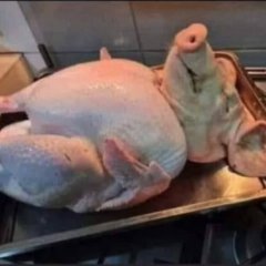 Бюджетный поросенок