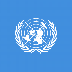 Флаг Организации Объединённых Наций