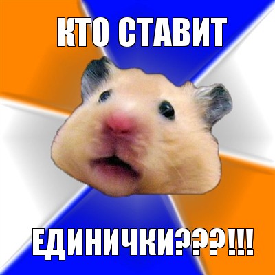 кто ставит единички???!!!, Мем Хомяк