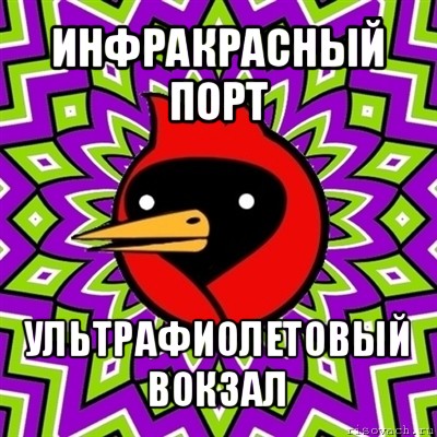 инфракрасный порт ультрафиолетовый вокзал, Мем Омская птица