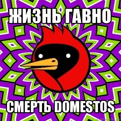 жизнь гавно смерть domestos, Мем Омская птица