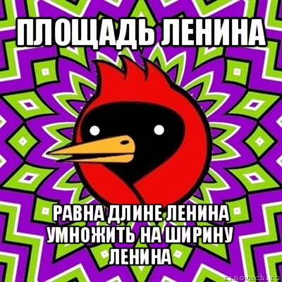 площадь ленина равна длине ленина умножить на ширину ленина, Мем Омская птица