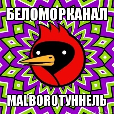 беломорканал malboroтуннель, Мем Омская птица