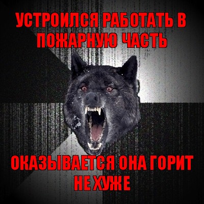 устроился работать в пожарную часть оказывается она горит не хуже, Мем Сумасшедший волк