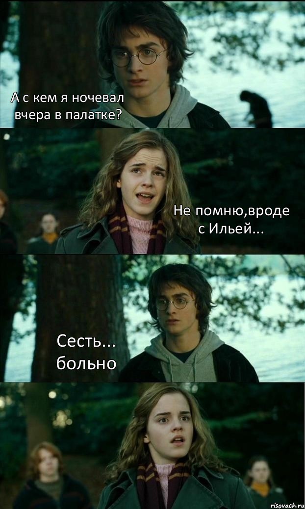 А с кем я ночевал вчера в палатке? Не помню,вроде с Ильей... Сесть... больно , Комикс Разговор Гарри с Гермионой