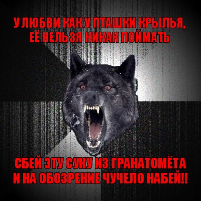 у любви как у пташки крылья,
её нельзя никак поймать сбей эту суку из гранатомёта
и на обозрение чучело набей!!, Мем Сумасшедший волк