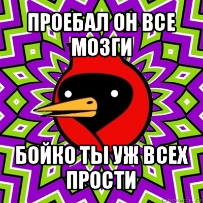 проебал он все мозги бойко ты уж всех прости, Мем Омская птица