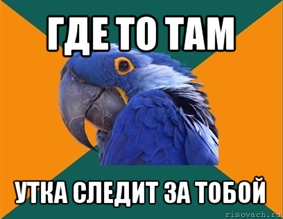 где то там утка следит за тобой