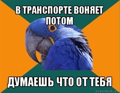 в транспорте воняет потом думаешь что от тебя, Мем Попугай параноик