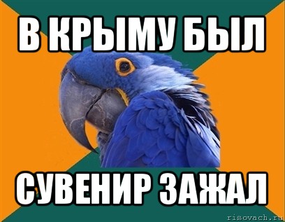в крыму был сувенир зажал, Мем Попугай параноик
