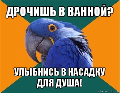 дрочишь в ванной? улыбнись в насадку для душа!, Мем Попугай параноик