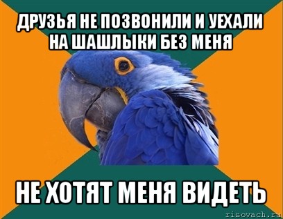 друзья не позвонили и уехали на шашлыки без меня не хотят меня видеть, Мем Попугай параноик