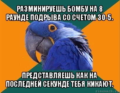 разминируешь бомбу на 8 раунде подрыва со счетом 30-5. представляешь как на последней секунде тебя кикают., Мем Попугай параноик