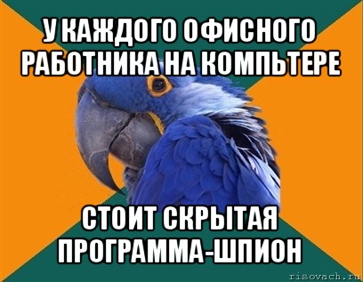 у каждого офисного работника на компьтере стоит скрытая программа-шпион, Мем Попугай параноик