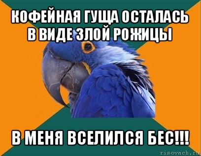 кофейная гуща осталась в виде злой рожицы в меня вселился бес!!!, Мем Попугай параноик