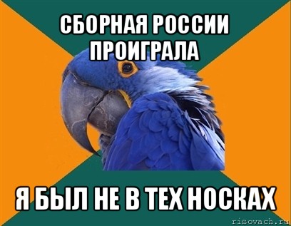 сборная россии проиграла я был не в тех носках, Мем Попугай параноик