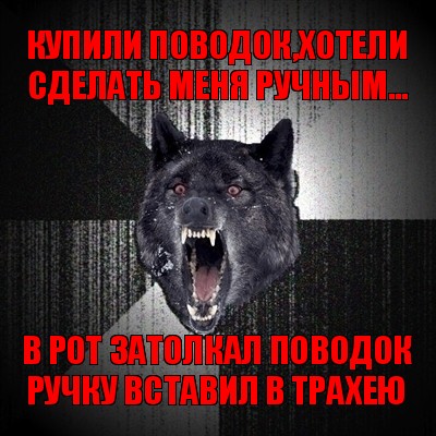 купили поводок,хотели сделать меня ручным... в рот затолкал поводок
ручку вставил в трахею, Мем Сумасшедший волк