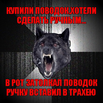 купили поводок,хотели сделать ручным... в рот затолкал поводок
ручку вставил в трахею