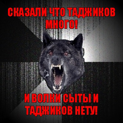 сказали что таджиков много! и волки сыты и таджиков нету!, Мем Сумасшедший волк