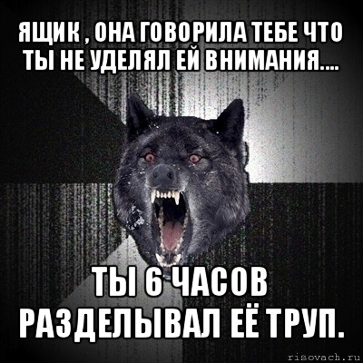 ящик , она говорила тебе что ты не уделял ей внимания.... ты 6 часов разделывал её труп., Мем Сумасшедший волк