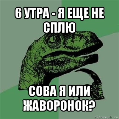 6 утра - я еще не сплю сова я или жаворонок?