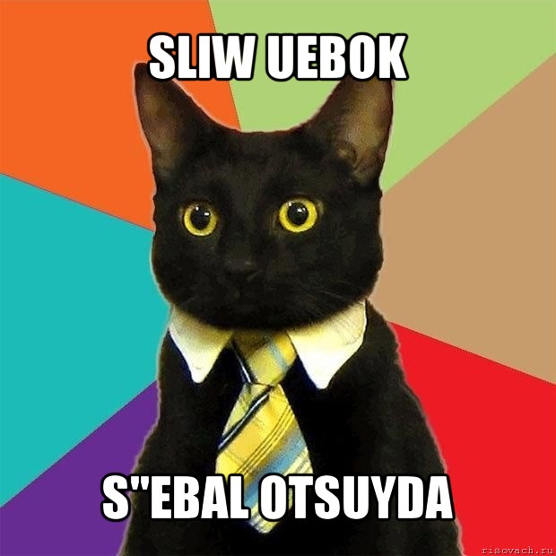 sliw uebok s"ebal otsuyda, Мем  Кошечка