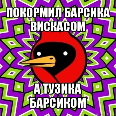 покормил барсика вискасом а тузика барсиком, Мем Омская птица