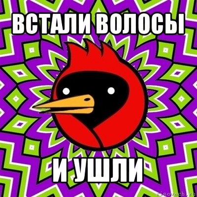 встали волосы и ушли, Мем Омская птица