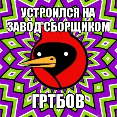 устроился на завод сборщиком гртбов, Мем Омская птица