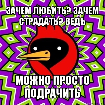 зачем любить? зачем страдать? ведь можно просто подрачить, Мем Омская птица