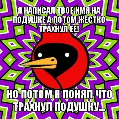 я написал твое имя на подушке а потом жестко трахнул ее! но потом я понял что трахнул подушку..., Мем Омская птица