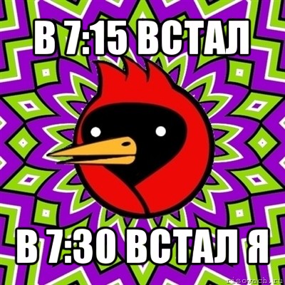 в 7:15 встал в 7:30 встал я, Мем Омская птица