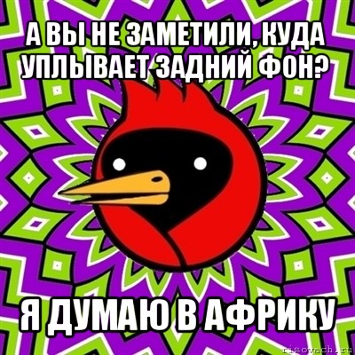 а вы не заметили, куда уплывает задний фон? я думаю в африку, Мем Омская птица