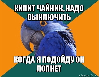 кипит чайник, надо выключить когда я подойду он лопнет, Мем Попугай параноик