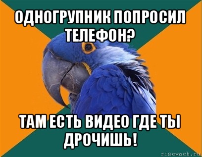 одногрупник попросил телефон? там есть видео где ты дрочишь!, Мем Попугай параноик